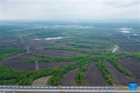 伊春如何到哈爾濱：探索多元路徑與深度旅程